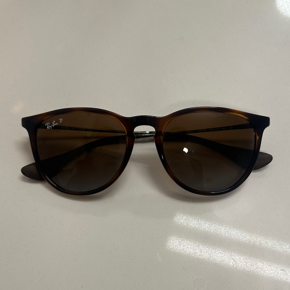 Ray-Ban Brown Erika Classic Polarized Sunglasses